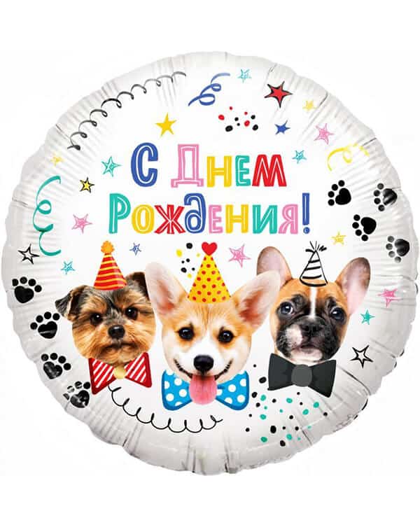 13343_Шар_(18_46_см)_Круг_Собачки_С_Днем_Рождения!_1_шт_в_упак Круг Собачки С Днем Рождения! — изображение 1